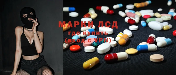 гашик Аркадак