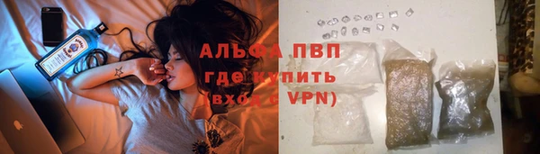 стафф Арсеньев