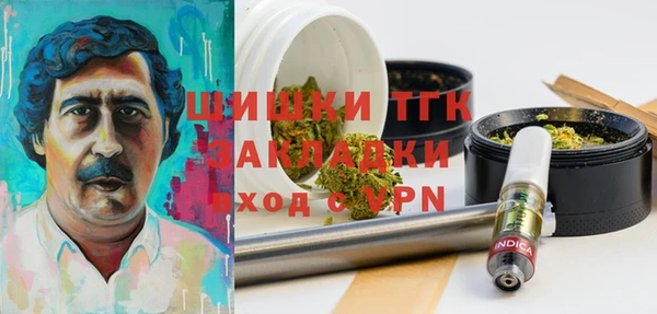 гашик Аркадак