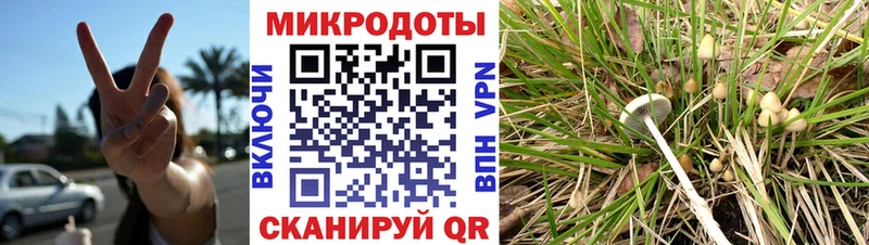 Галлюциногенные грибы MAGIC MUSHROOMS  Балей 